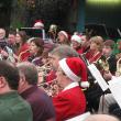 2012-Christmas-Concert-at-the-Milwaukee-Domes-8