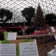 2013-Christmas-Concert-at-the-Milwaukee-Domes-2