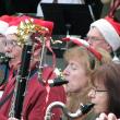 2013-Christmas-Concert-at-the-Milwaukee-Domes-7